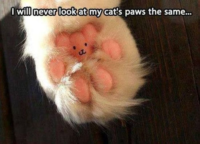 It Will make You Wonder (49 pics)