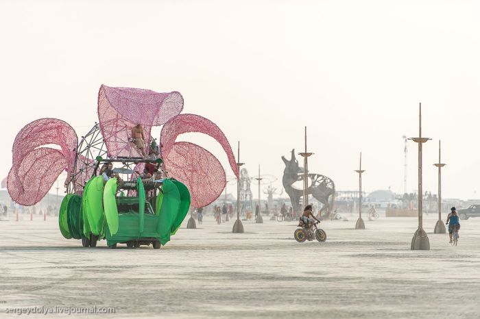 The Vehicles of Burning Man 2013 (39 pics)