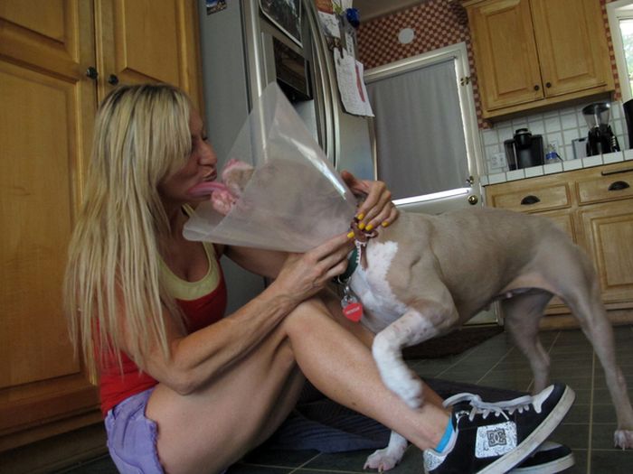 Rescued Pit Bull (13 pics)