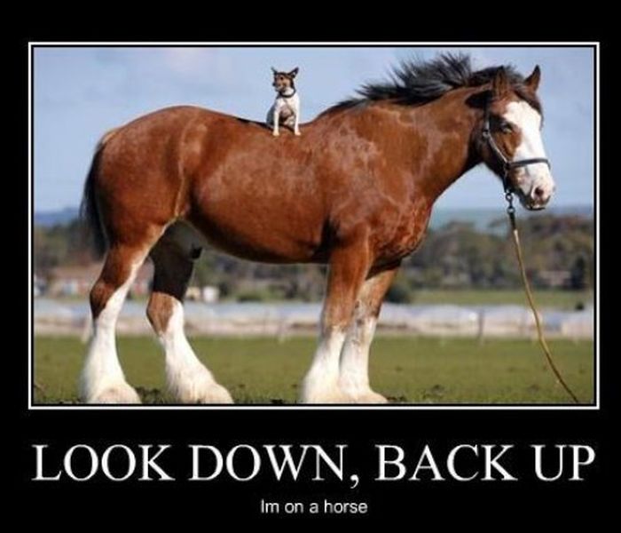 Funny Demotivational Posters (26 pics)