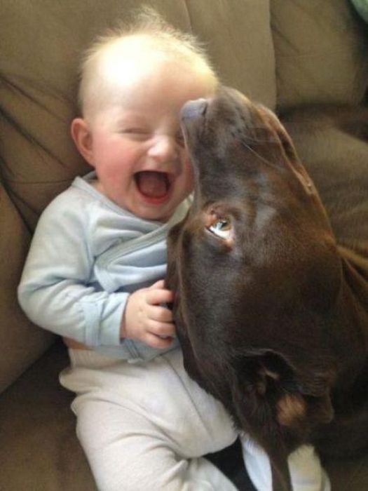 This Is What Happiness Looks Like (37 pics)