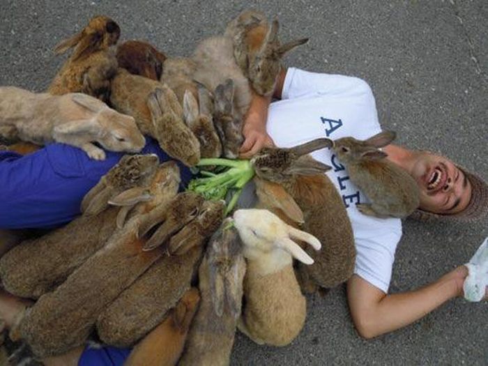 This Is What Happiness Looks Like (37 pics)