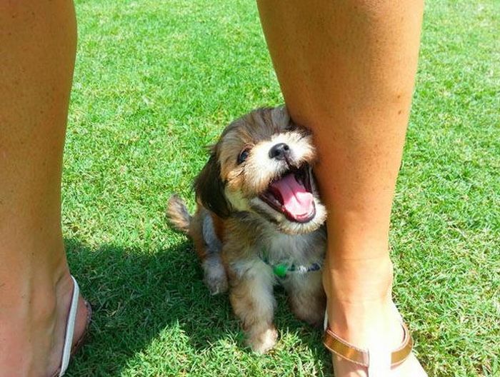 This Is What Happiness Looks Like (37 pics)