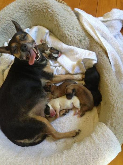 This Is What Happiness Looks Like (37 pics)