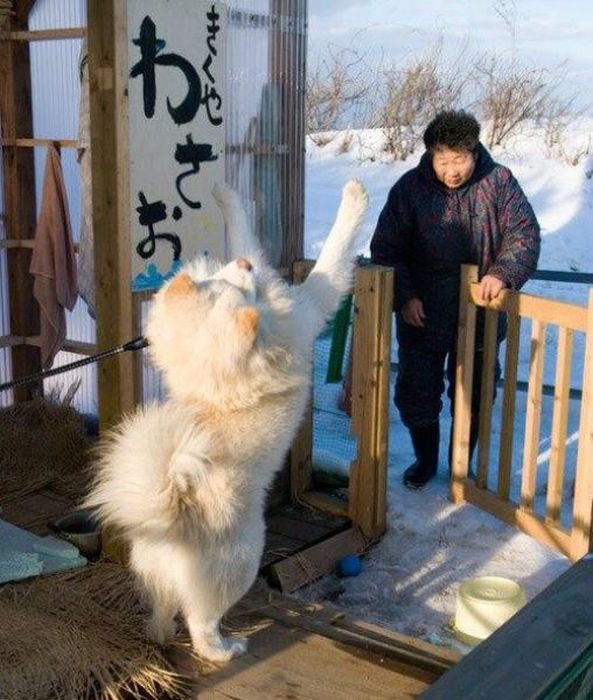 This Is What Happiness Looks Like (37 pics)