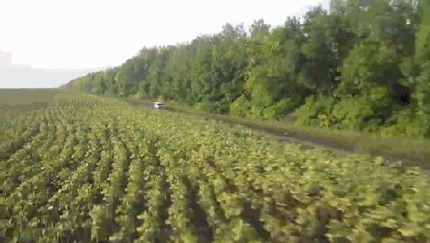 Acid Gifdump, September 19, 2013 (25 gifs)