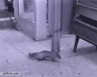 Acid Gifdump, September 19, 2013 (25 gifs)