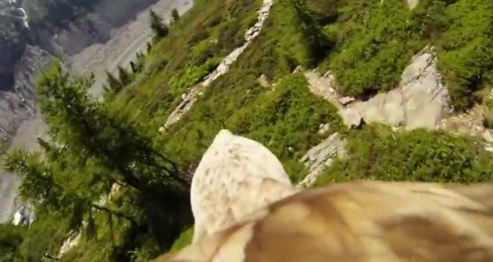 Amazing Eagle Flight