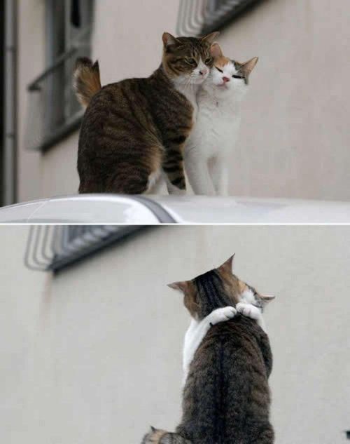 This Is Love (39 pics)