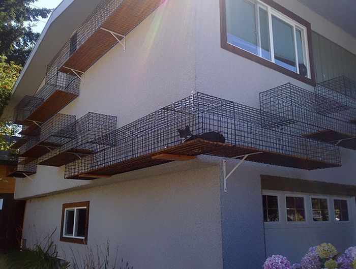 Great Ideas for Your Home (43 pics)