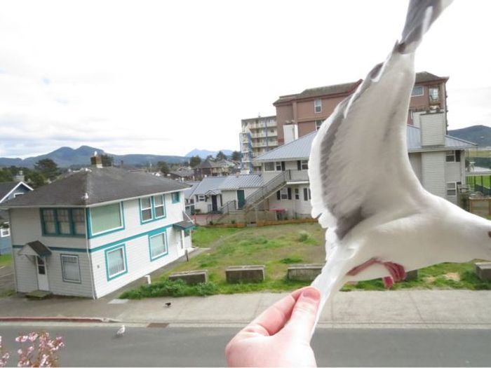 At the Right Moment. Part 29 (49 pics)