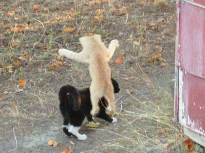 At the Right Moment. Part 29 (49 pics)