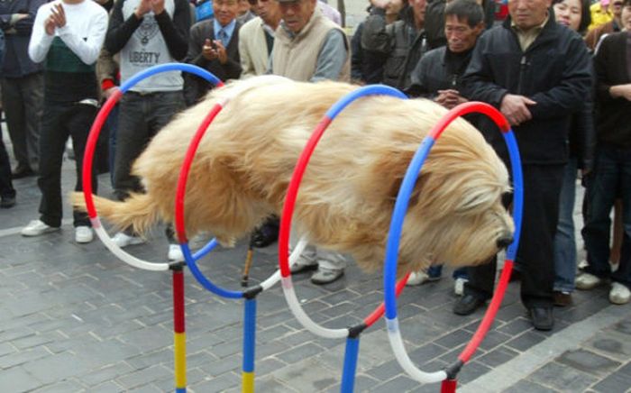 At the Right Moment. Part 29 (49 pics)