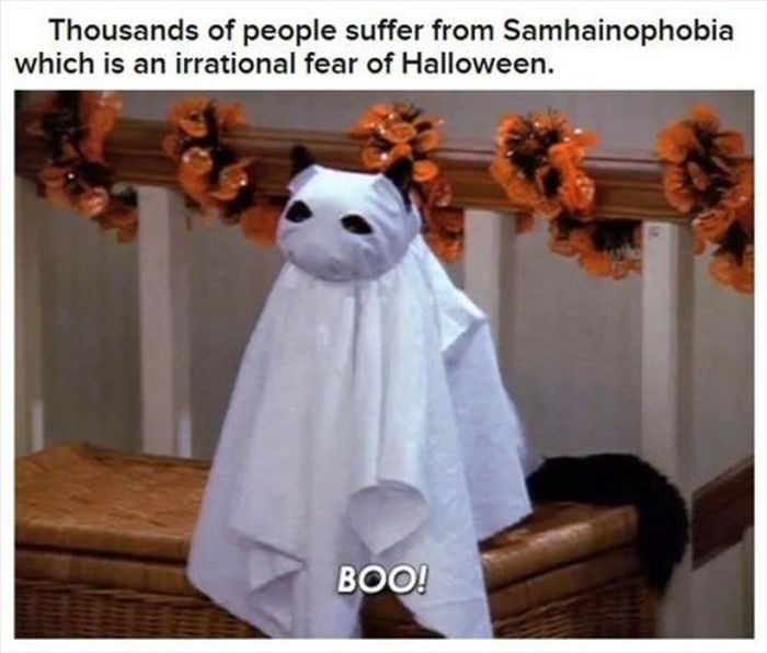 Halloween Facts (30 pics)