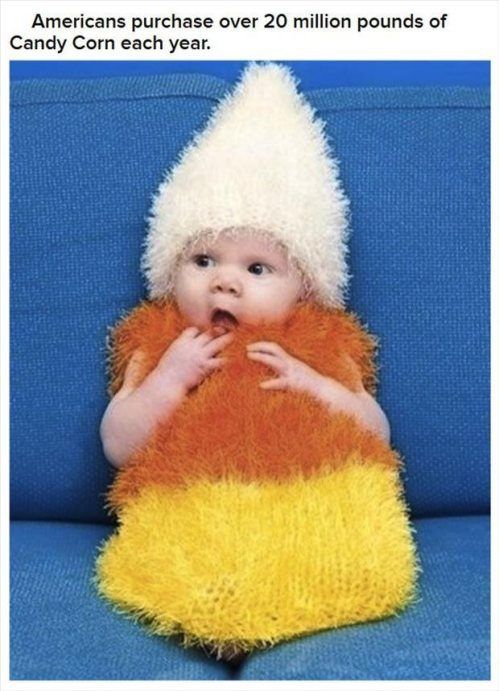 Halloween Facts (30 pics)