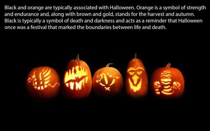 Halloween Facts (30 pics)