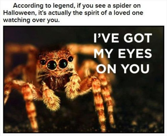 Halloween Facts (30 pics)