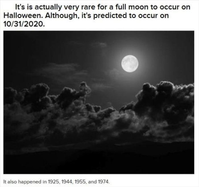 Halloween Facts (30 pics)