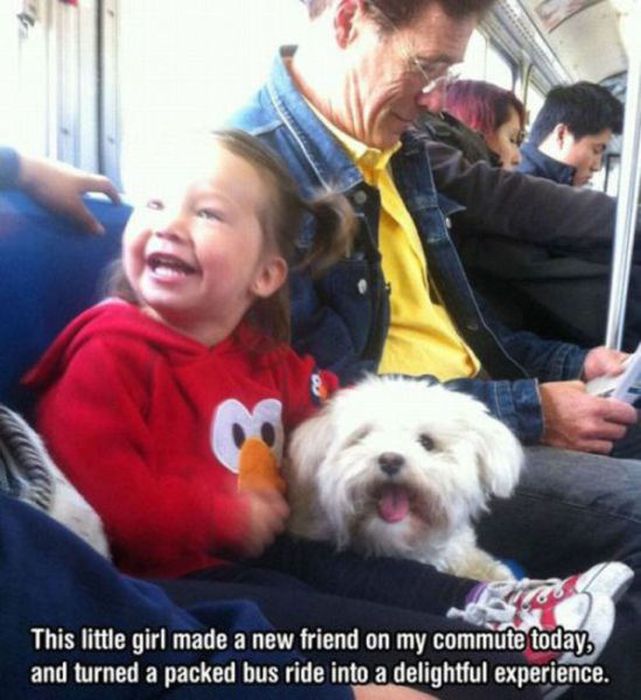 Enjoy Your Life (62 pics)