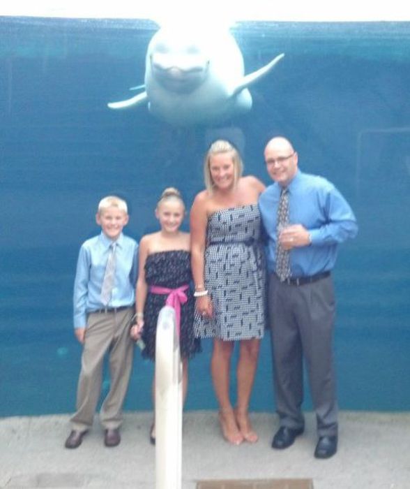 Photobombs. Part 35 (52 pics)
