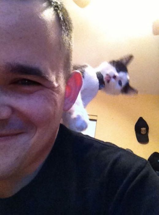 Photobombs. Part 35 (52 pics)