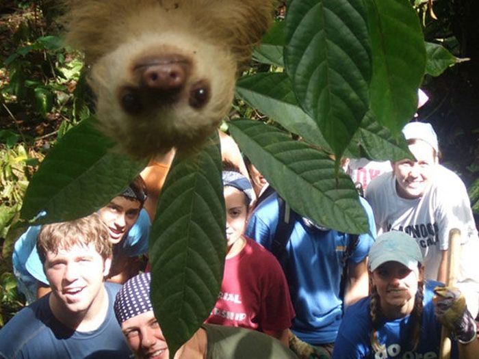 Photobombs. Part 35 (52 pics)