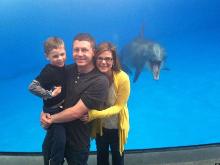 Photobombs. Part 35 (52 pics)