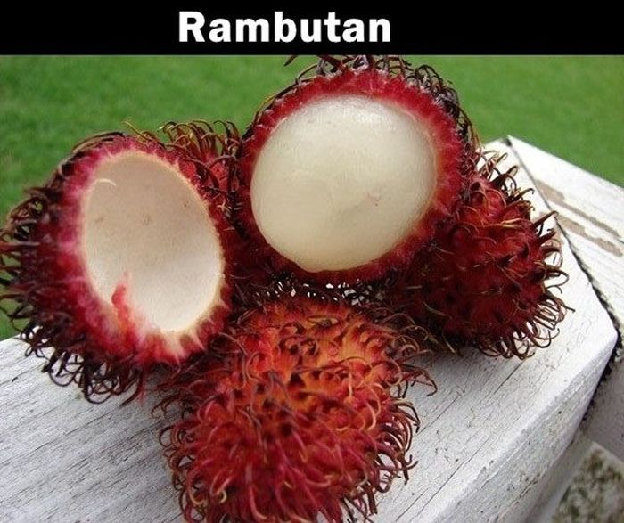Foreign Fruits (20 pics)