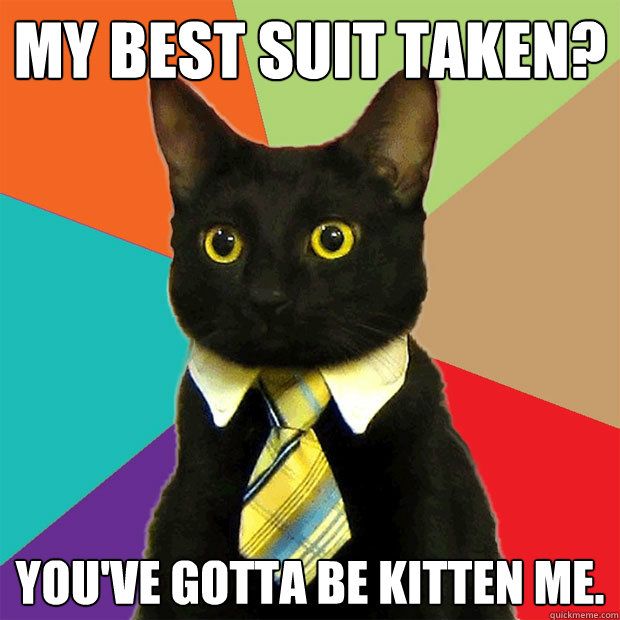 Business Cat (40 pics)