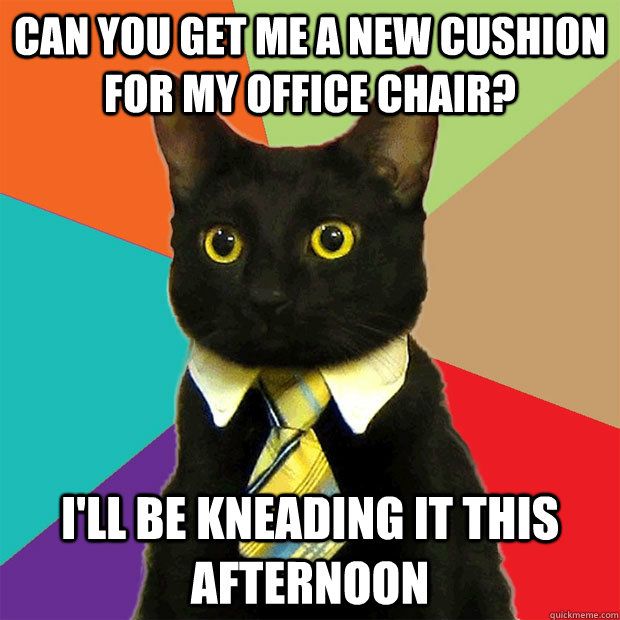 Business Cat (40 pics)