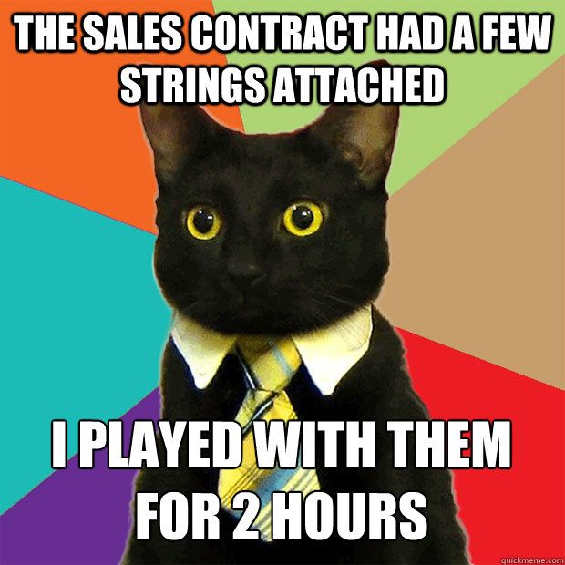 Business Cat (40 pics)