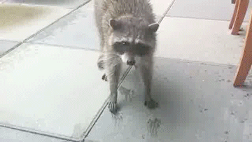 Acid Gifdump, September 25, 2013 (25 gifs)