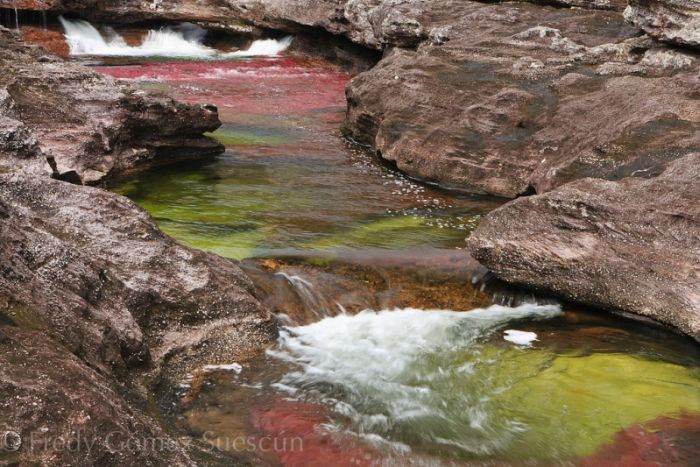 Cano Cristales aka The River of Five Colors (34 pics)