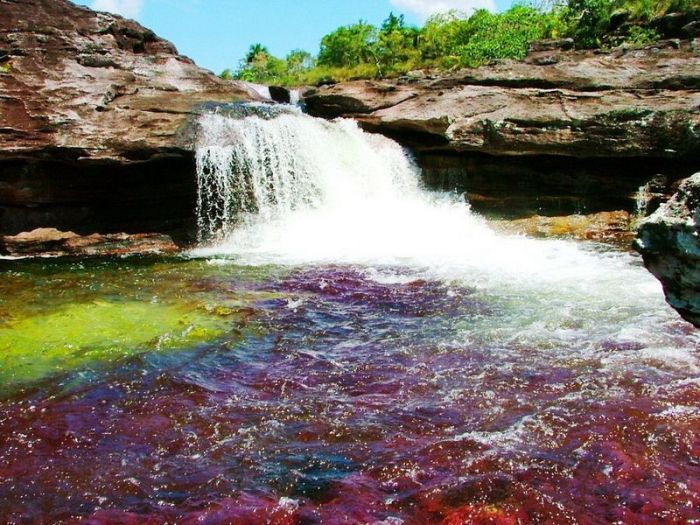 Cano Cristales aka The River of Five Colors (34 pics)