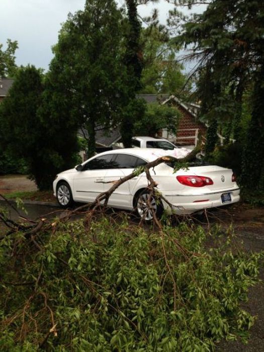 Problems with Vehicles (39 pics)