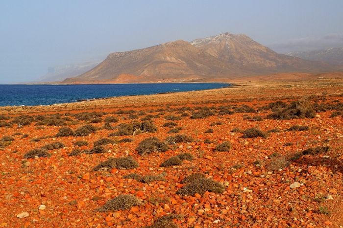 Socotra Island (35 pics)
