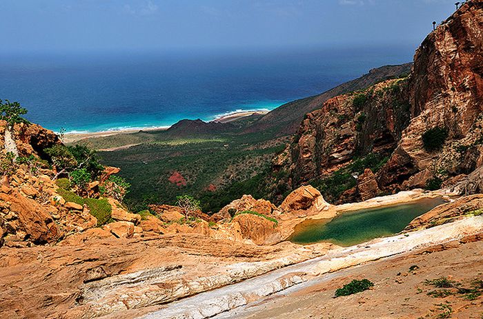 Socotra Island (35 pics)