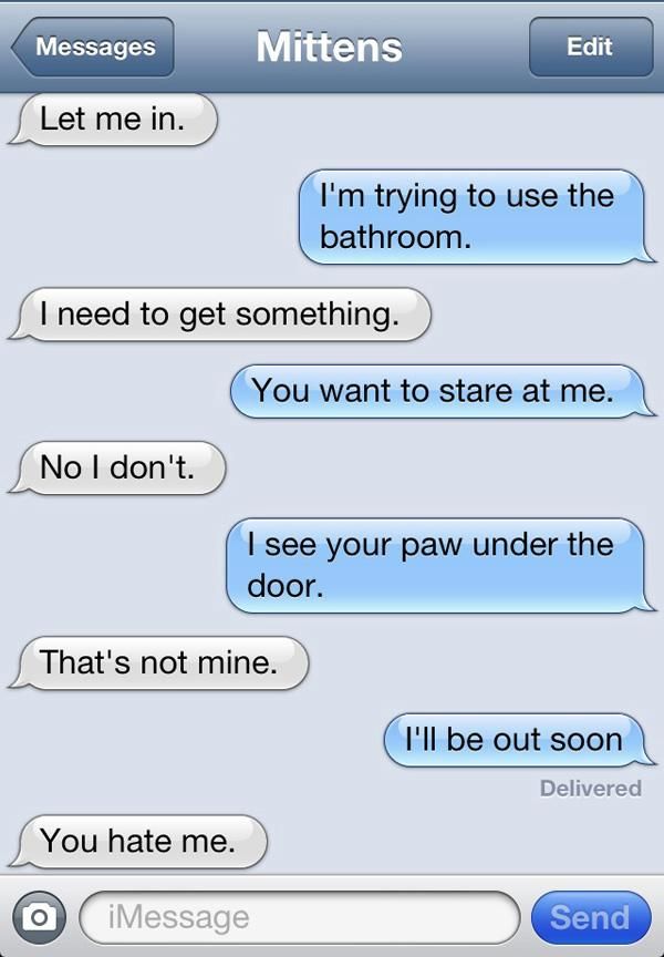 Text Messages From a Cat (8 pics)