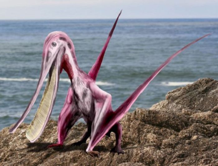 Strange Creatures That Existed in Prehistoric Times (25 pics)