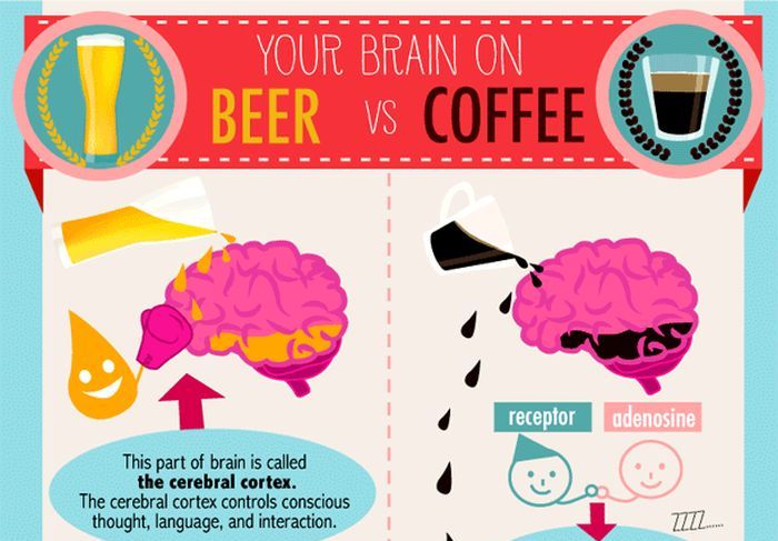 Beer Vs Coffee (infographic)