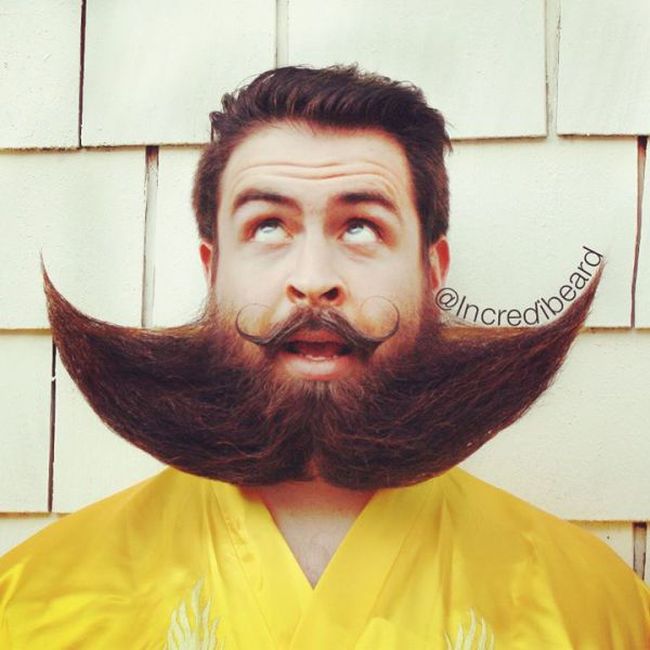 Incredible Beard (22 pics)
