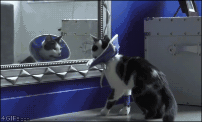 Awkaward Kisses (30 pics)