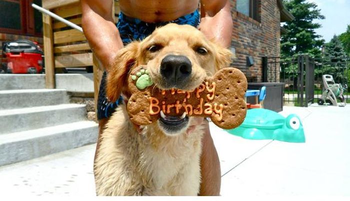 Animal Birthdays (20 pics)
