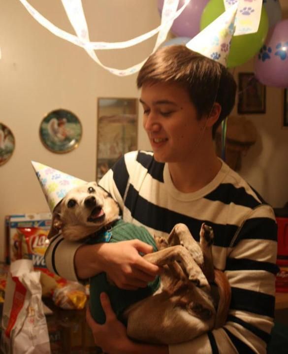 Animal Birthdays (20 pics)