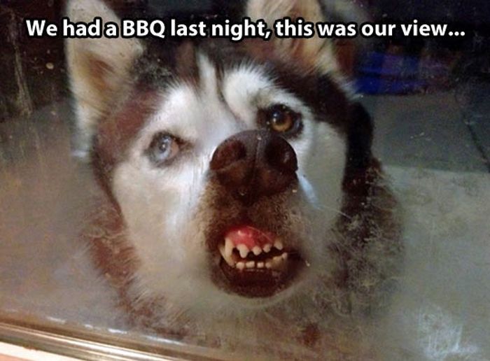 Pictures with Text (40 pics)