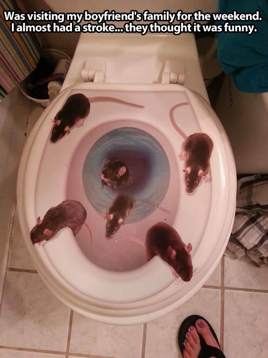 Pictures with Text (40 pics)