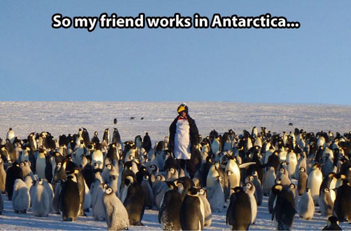 Pictures with Text (40 pics)