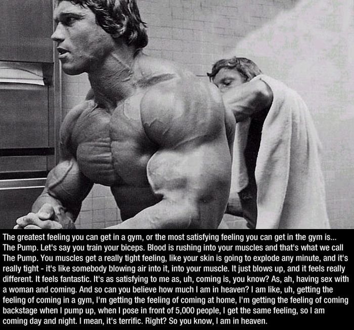 Arnold Schwarzenegger Quotes (9 pics)