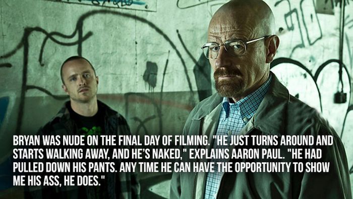 Great Facts About Breaking Bad (22 pics)