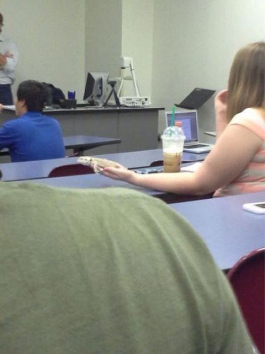 Pictures That Are Hard to Explain (47 pics)